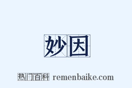 妙因是什么意思的图片